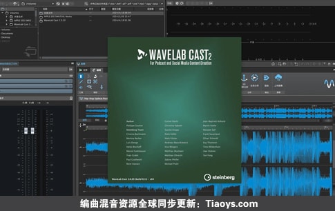 Steinberg WaveLab Cast v2.0.40