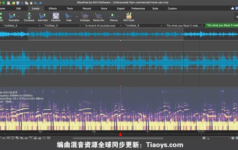 专业音频和音乐编辑器 NCH WavePad Masters Edition v19.50