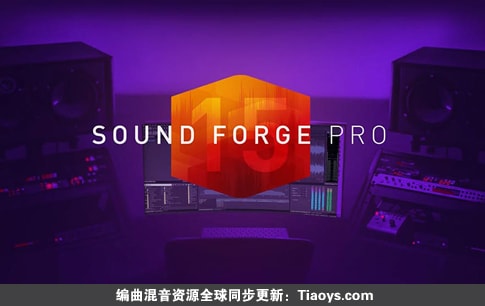 MAGIX SOUND FORGE Pro v17.0.2.109