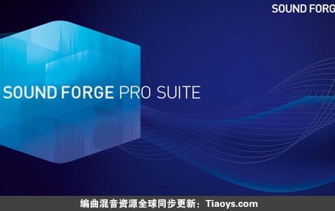 MAGIX SOUND FORGE Pro Suite v18.0.0.21