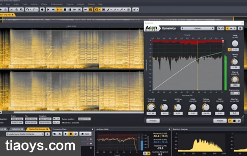录音音频CD工具 – Acon Digital Acoustica Premium 7.4.0 MacOS