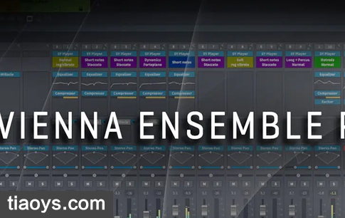 维也纳机架 – Vienna Ensemble Pro 5/6 6.0.17011 MacOS